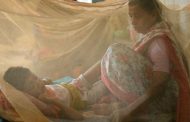 চট্টগ্রামে ডেঙ্গু: মোট মৃত্যুর অর্ধেকের বেশি শিশু